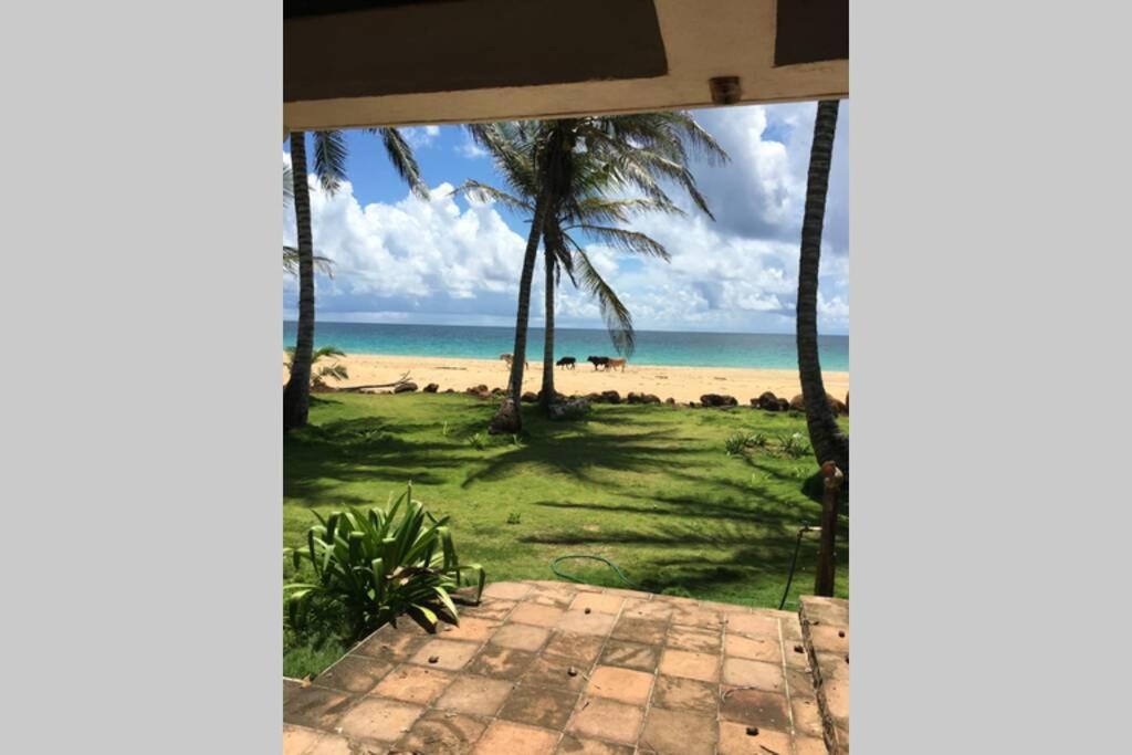 Coconut Castle At La Lodge At Long Bay South End Luaran gambar
