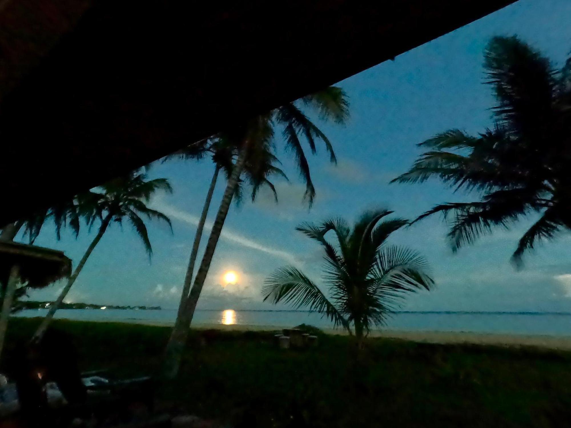 Coconut Castle At La Lodge At Long Bay South End Luaran gambar